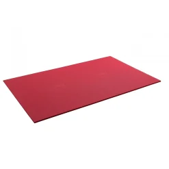 AIREX Gymnastikmatte Atlas