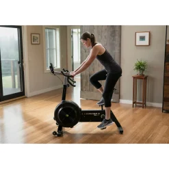 Concept2 BikeErg
