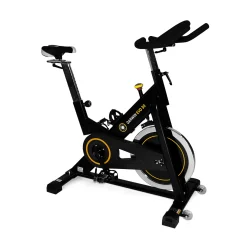 Darwin Indoor Bike Evo 30