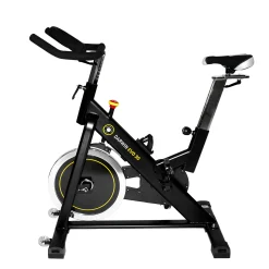 Darwin Indoor Bike Evo 30