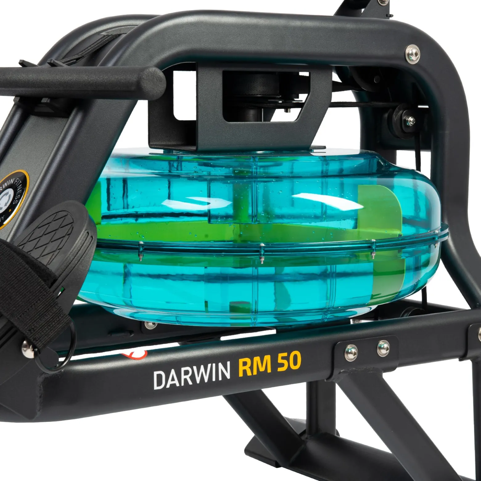 Darwin Rudergerät RM50 (Ausstellungsstück)
