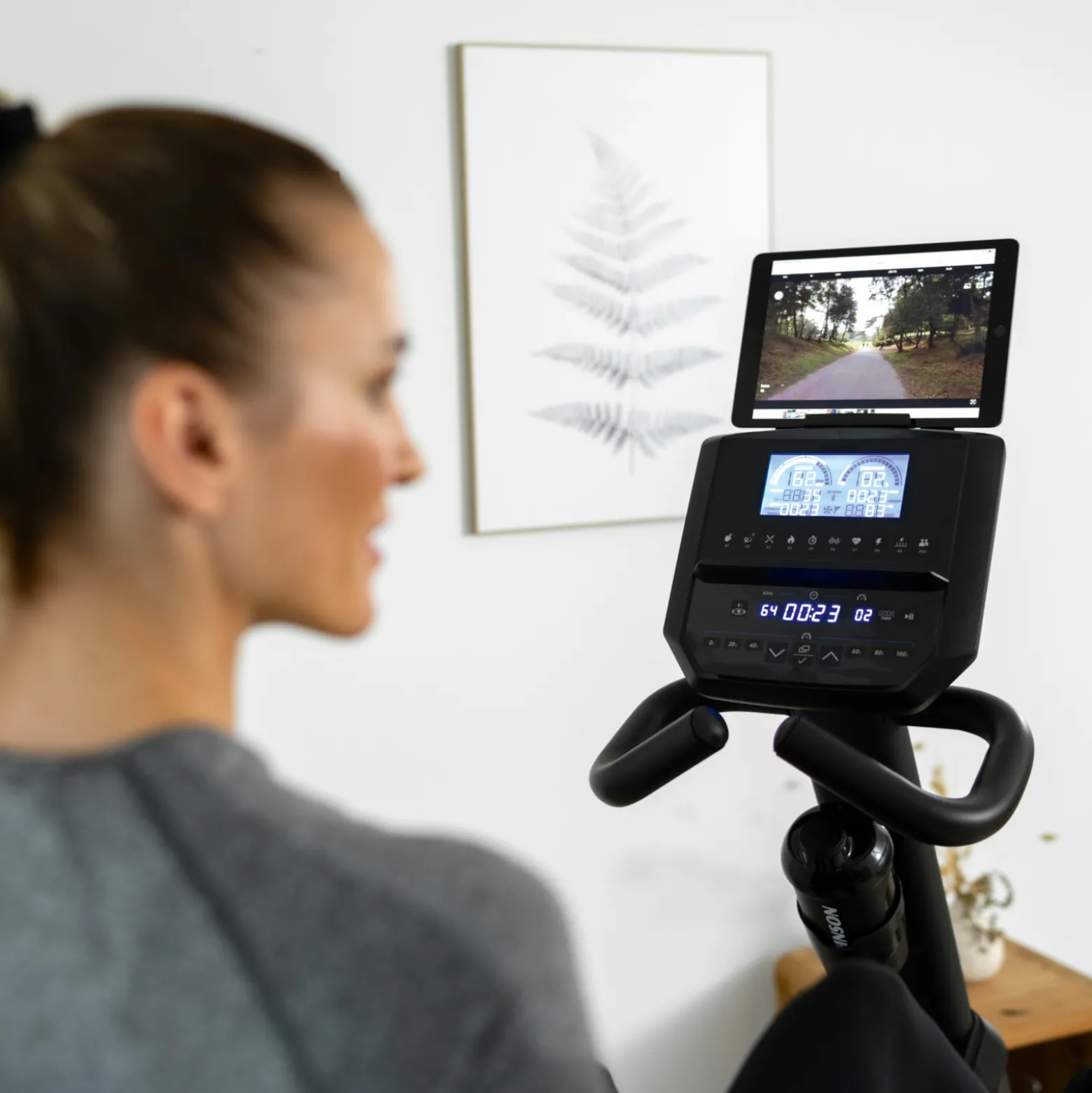 Horizon Liegeergometer 5.0Ri