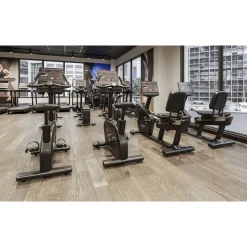 Life Fitness Liegeergometer Aspire Serie