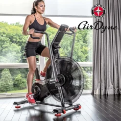 Schwinn Airdyne AD8