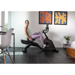 Schwinn Liegeergometer 590R