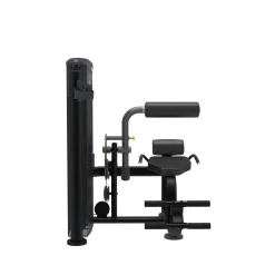 Taurus Back Extension IT95