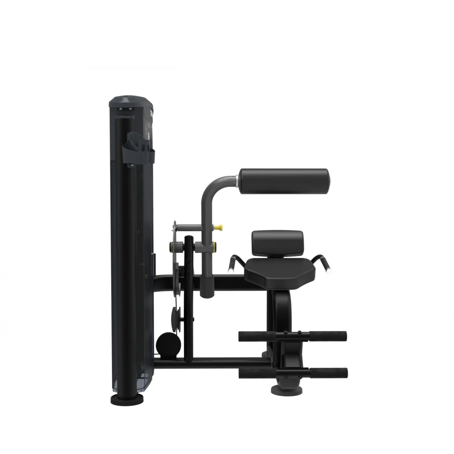 Taurus Back Extension IT95