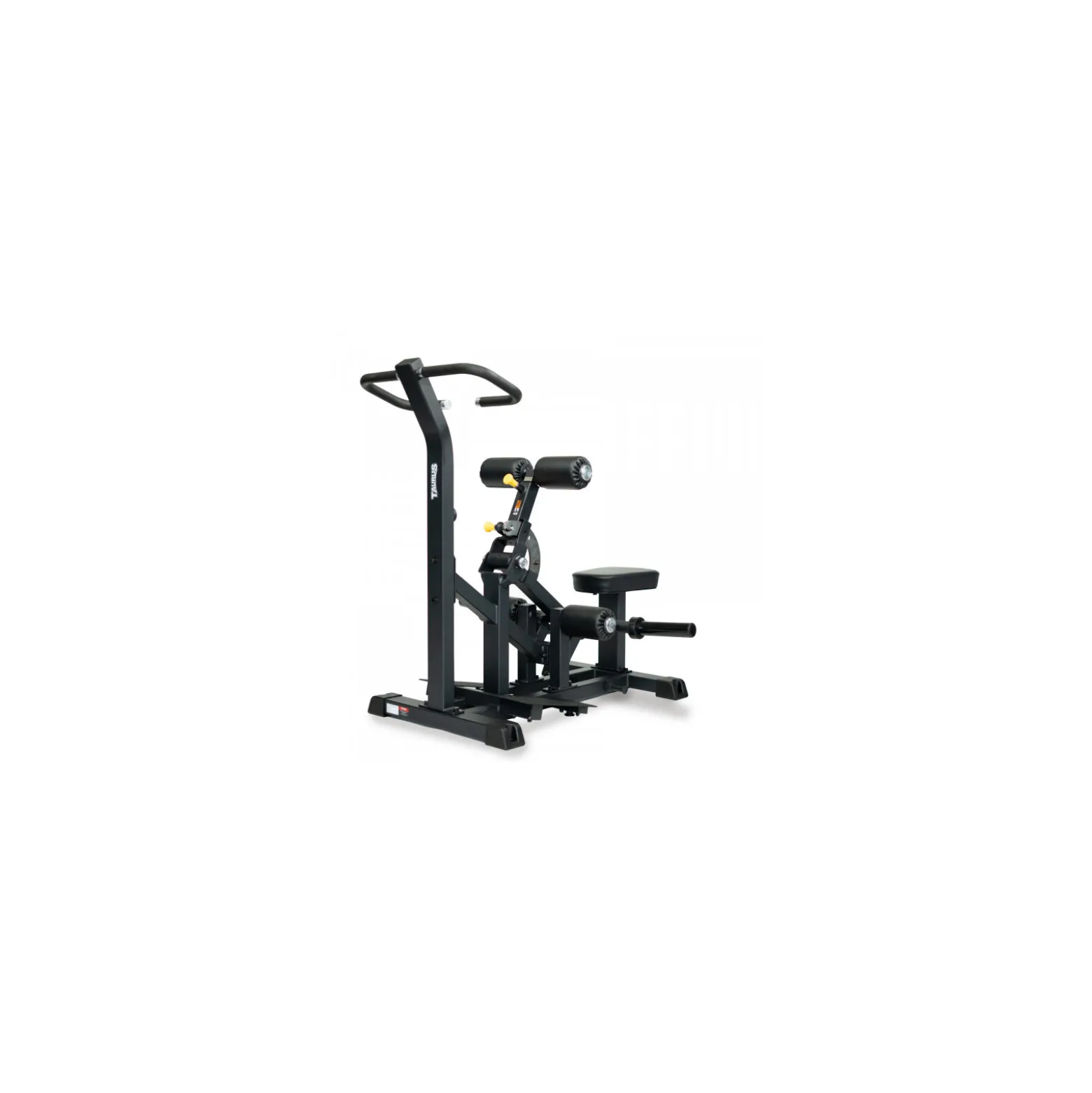 Taurus Hip Thrust stehend IFP