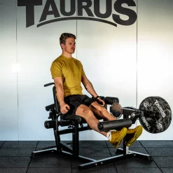 Taurus 4-in-1 Multitrainer