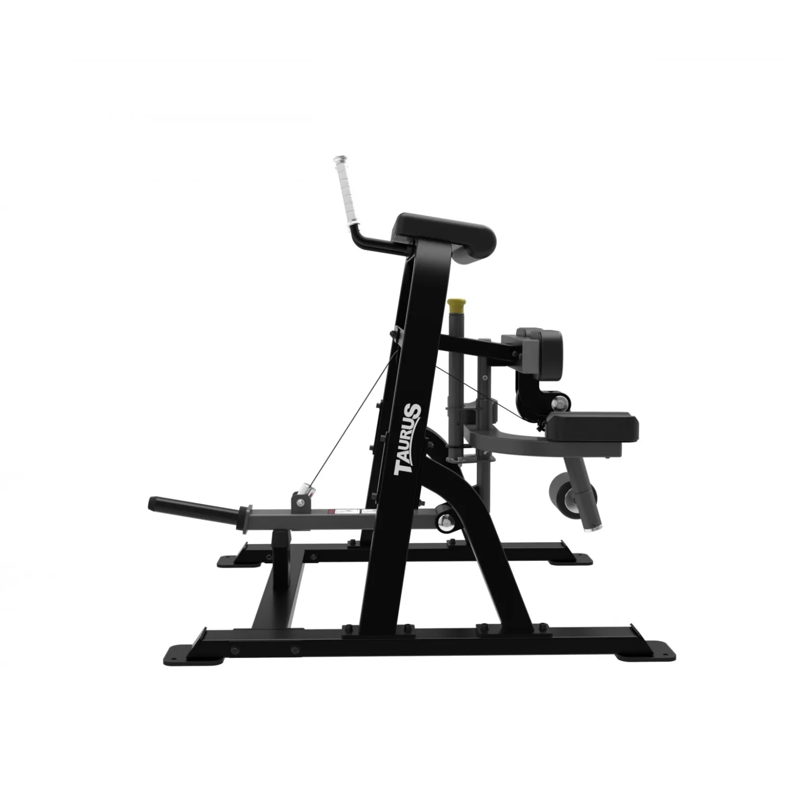 Taurus Iso Leg Curl Sterling