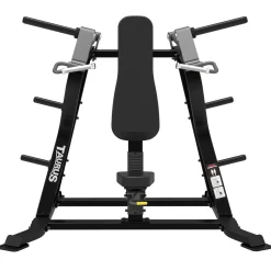 Taurus Iso Shoulder Press Sterling