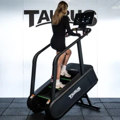 Taurus Stair Trainer ST9.9 Treppensteiger