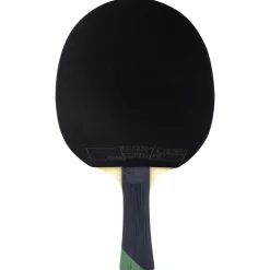 Tibhar Tischtennischläger Master Alexis Lebrun