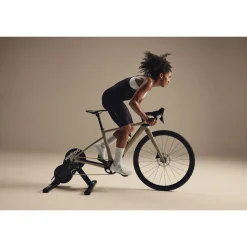 Wahoo Rollentrainer Kickr Core 2